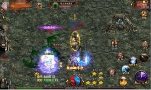 比较适合高级战士玩家升级的宝地